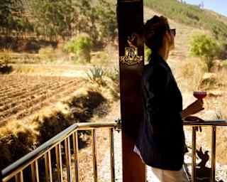 A woman facing the landscapes, resting against a pillar of the Observation Car