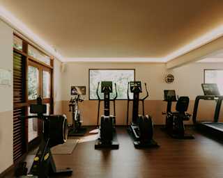 Looking at the back wall of a gym where a row of five visible exercise machines face two panel-windows on to gardens.