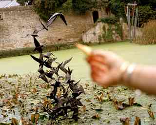 In soft-focus foreground, a woman holds out a chip to a flock of bronze birds cast by Lloyd LeBlanc which burst from a pond.
