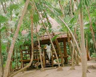 A woman carries a box up steps to an open hut with a thatched roof in the palm-filled grounds of Melipona bee sanctuary.
