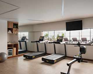 Two treadmills and a rowing machine face a window on to a terrace in the gym, which has shelves, a mirror and exercise balls.