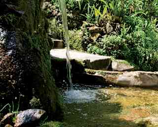 A small waterfall tumbles from a rock ledge into a pond as part of a garden feature, seen in sunlight with foliage backdrop.