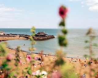 People relax on Broadstairs beach, in a view that sweeps towards the jetty, part-obscured by a pink hollyhock in soft focus.