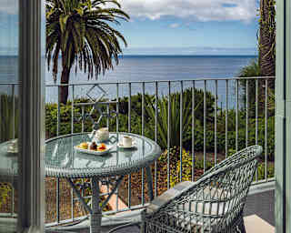 Palm trees frame the glorious sea view from a sun-drenched Junior Deluxe Suite balcony.