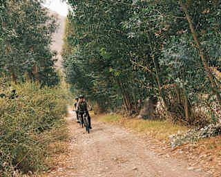 Angled image of two cyclists in black helmets as they cycle towards the camera on a track between wild hedgerows and forest.