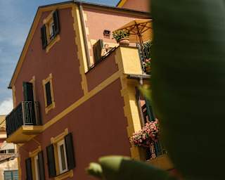 Angled image from behind a plant of a terracotta-hued building with yellow-brick detail, balcony and upper terrace.