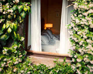 Dense, flowering star jasmine surrounds a suite window, seen from the outside looking in, capturing an unmade bed and lamp.