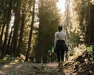 Lady in hiking gear strolling along a path in a forest with sun bursting through the trees