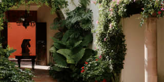 Shot of Casa Caballo's exterior, with white walls, tiled passages and arches dripping with giant monstera, alocasia and ivy.