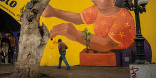A man walks by a giant mural of a woman releasing a bird, painted on bright yellow wall in Lima's trendy suburb of Barranco.
