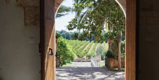 View through a rustic arched doorway of vineyards stretching into the distance