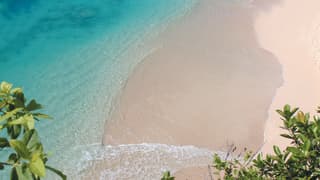 The lace-like edges of waves lap the soft pink sand where the turquoise sea meets the shore. Tropical plants frame the shot