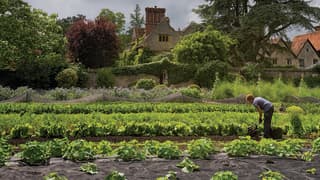 Purple clouds gather menacingly across a huge sky. A gardener bends low over the vegetable patch, using precious minutes