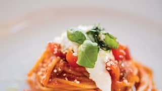 tomato spaghetti
