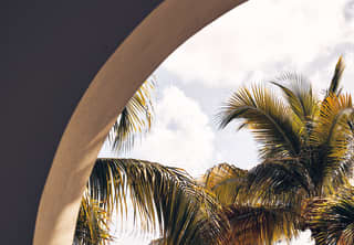 The tops of palm trees under lightly clouded skies viewed from under a terrace arch