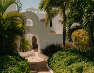 The entrance to the Jonquil Suite, banked by palms and gardens, revealing a paved courtyard with a central bed of foliage.