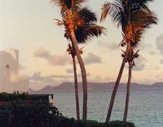 The rocky headland of Maundays Bay seen from the west end of the beach through four, tall palms, aglow in rosy sunset light.