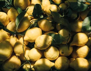 close up of lemons 