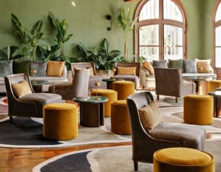 With green walls, potted plants and low seating in taupe and mustard, Restaurant Y's lounge offers naturally elegant comfort.