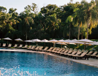 Looking over foliage to the pool, where white sun loungers and parasols separate the glittering water from the forest behind.