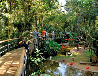 Parque das Aves, Cataratas do Iguaçu
