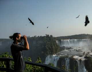 A guest looks through binoculars as large exotic birds circle above the Iguassu Falls at first light