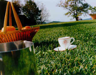 A teacup and saucer rests on lawn alongside a basket of fruits and a jug, seen at eye-level in the Castello di Casole gardens.