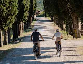 Two people ride bicycles down a tree-lined gravel path bordered by tall, green cypress trees under a clear sky. The path stretches into the distance, creating a peaceful and scenic atmosphere.