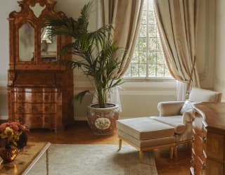 A potted parlour palm and an armchair and stool bathe in light either side of a tall window with rope-tied cream drapes.
