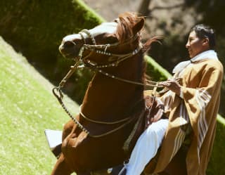 Espectáculo de caballos peruanos de paso