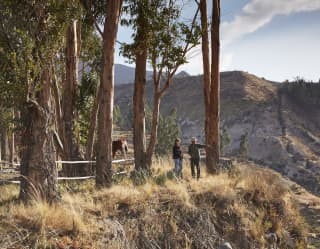 Walks and Treks in Colca Canyon