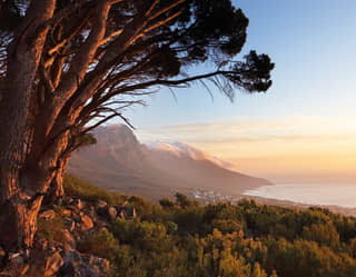 Table Mountain coated with clouds at sunrise that stretch to the sea