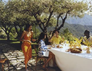 Two men and two women in bright clothing enjoy lunch at a table under the olive trees on an eco-farm, with mountain views.