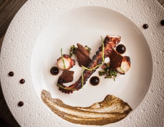 Beautifully presented fine seafood dish served on a white plate with dots of rich dark sauce