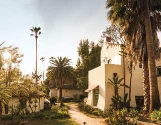 Hotel garden path surrounded by lush succulents and tall palms