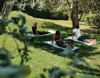 Three guests hold the cobra yoga position, lying on towels on lawn in the shade of ancient olive trees, seen over foliage.