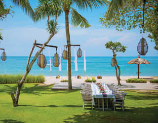 Wedding banquet table on a lawn overlooking the beach surrounded by tall palms