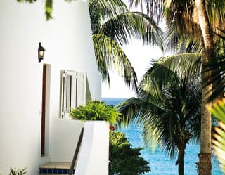 A white-walled villa stands amid tall green palms, which give way to views of the sea. Tiled steps lead up to a side door