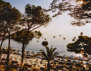 View over Lido Villeggiatura's parasols which brush the ocean's edge in late rosy sun, seen through pines from gardens above.