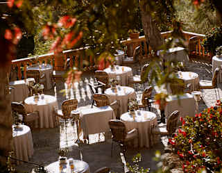 High-angle view through a bottle-brush plant over Olivio's terrace, where tables await guests sun and dappled shade.