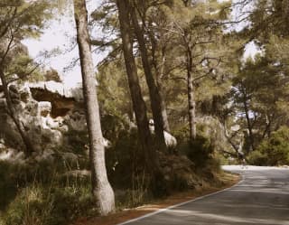A quiet road, lined with shady Mallorcan pine trees and limestone boulders, offers a peaceful route for exploring by bike.