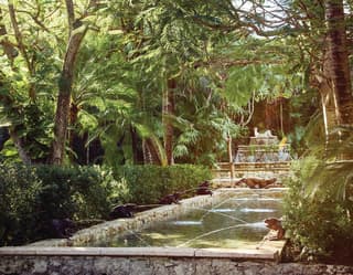 Hotel garden raised ponds surrounded by jungle foliage