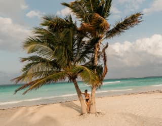 A woman stands between two, close-together palms growing in the creamy sand near the ocean's sapphire edge, seen from behind.