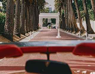 The grand, palm-fringed drive, seen from a convertible as it heads away from the hotel towards the white gateway.