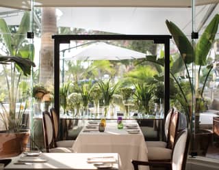 Bright restaurant with potted palms and a glass wall with gardens beyond