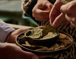 Close up image as a guest selects leaves for a traditional coca leaf reading - a respected Andean fortune-telling ceremony.