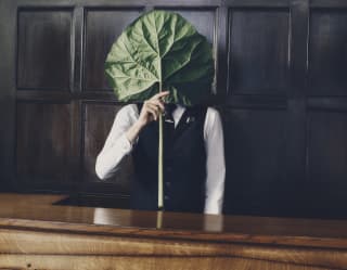 A member of staff stands behind a wooden bar holding a large young rhubarb leaf by the stem, which covers his face.