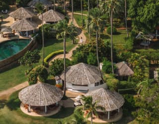 Among towering palm trees, clusters of roundhouses offer shade for relaxing in the gardens around the pool, seen from above.