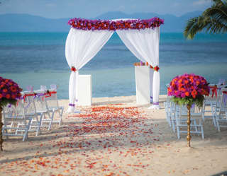 A romantic setting for a wedding on the beach, with a path of colourful strewn petals across the sand