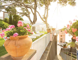 Looking down a narrow stairway that leads to the sea, lined with white railings and terracotta pots of pink geraniums.